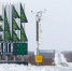 Фото: Александр Чирва / «Ямал-Медиа» - Красный Север